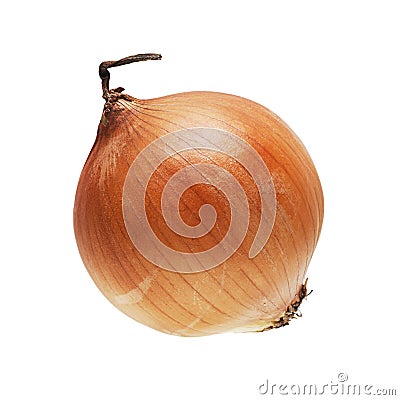 Ripe onion isolated Stock Photo