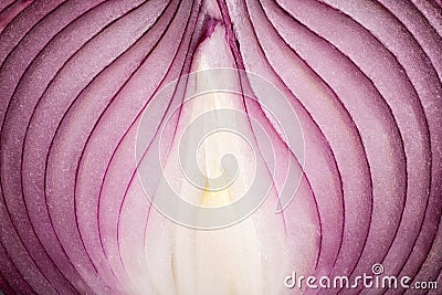 Ripe onion macro Stock Photo