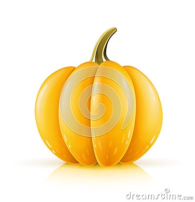 Ripe orange pumpkin Vector Illustration