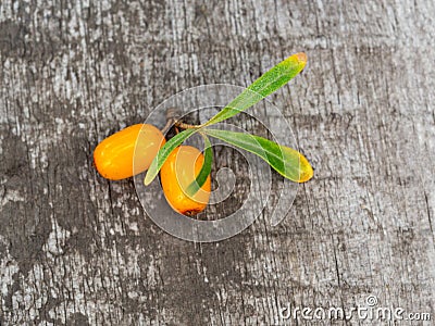 Ripe orange sea-buckthorn berry Stock Photo