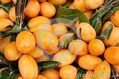 Ripe Orange Sweet Maprang Stock Photo