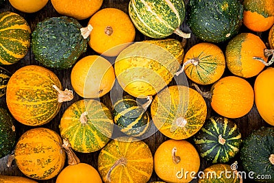 Ripe organic colored pumpkins Stock Photo