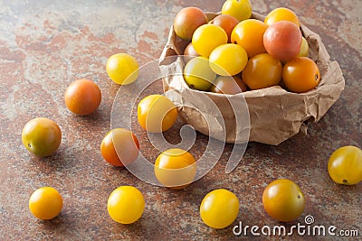 Ripe organic colorful mini tomatoes Stock Photo