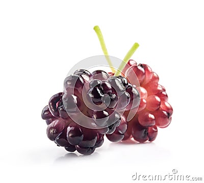 Ripe organic Mulberry fruits Stock Photo