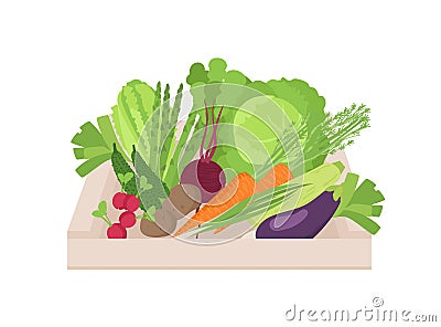 Ripe organic vegetables in wooden box isolated on white background. Gathered natural crops in crate. Harvest, pile of Vector Illustration