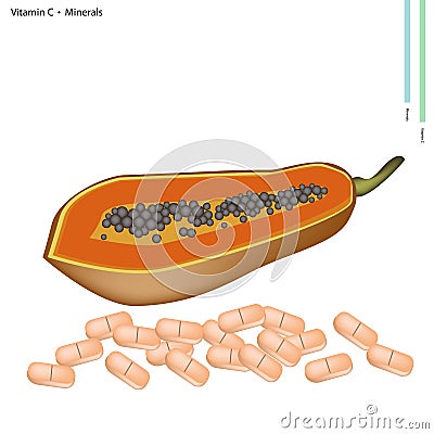 Ripe Papaya with Vitamin C and Minerals Vector Illustration