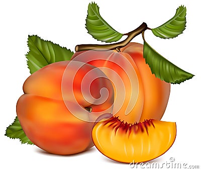 Ripe peach fruit with green leaves. Vector Illustration
