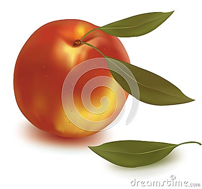 Ripe peach with green leaf. Vector Illustration
