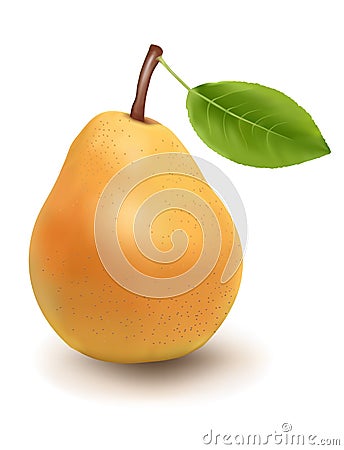 Ripe pear with leaf. Vector Illustration