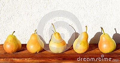 Ripe pears in the straight line, Bright outdoors composition in the sunshine Stock Photo