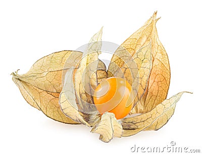 Ripe physalis Stock Photo