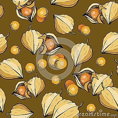 Ripe physalis. Seamless pattern with berries. Vector Illustration