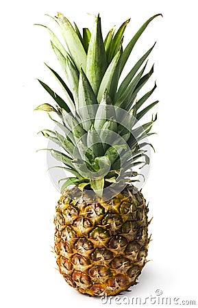 Ripe pineapple on a white background Stock Photo