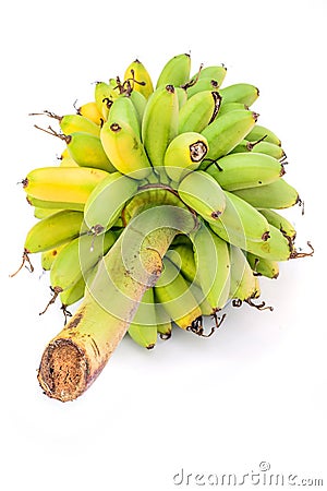 Ripe Pisang Mas banana or Musa :Kluai Khai, famous small golden Stock Photo