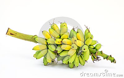 Ripe Pisang Mas banana or Musa :Kluai Khai, famous small golden Stock Photo