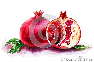 Ripe pomegranate fruit Cartoon Illustration