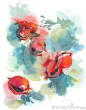 Ripe pomegranate tree watercolor background hand painted Stock Photo