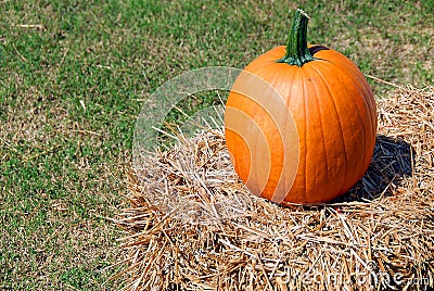Ripe pumpkin Stock Photo