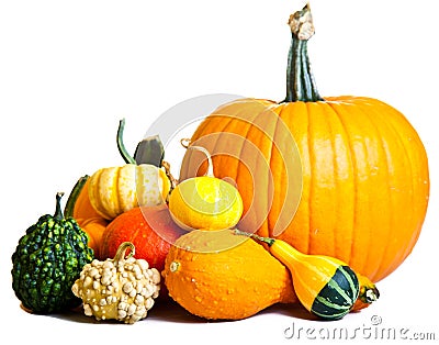 Ripe pumpkin fruits isolated Stock Photo