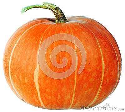 Ripe pumpkin isolated Stock Photo