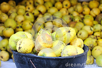 The quince is ready for brandy Stock Photo