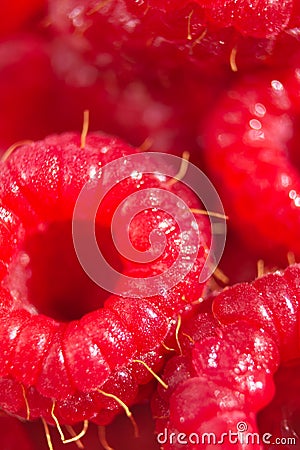 Ripe raspberries macro wallpaper. Selective focus fruit pattern background. Many sweet red berry harvest Stock Photo