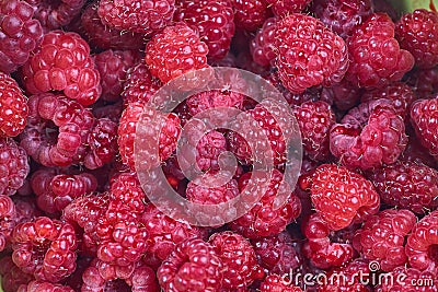 Ripe raspberry background Stock Photo