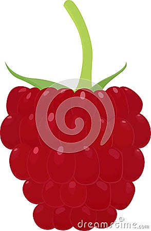 Ripe raspberry icon Vector Illustration