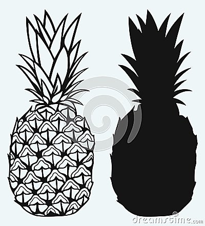 Ripe raspberry with leafRipe tasty pineapple Vector Illustration