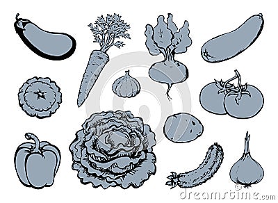 Vegetables set. Vector drawing food object Vector Illustration