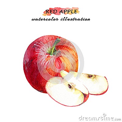 Ripe red apple with two slices isolated on white background. Cartoon Illustration