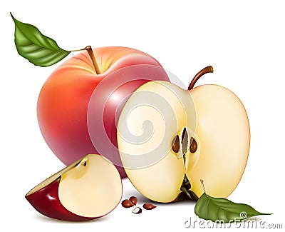 Ripe red apples with green leaves Vector Illustration