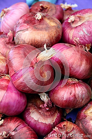 Ripe red onions Stock Photo