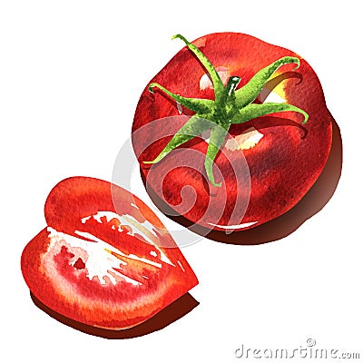 Ripe red tomatoes, whole and part, fresh juicy red tomato object, top view, organic vegetarian food, natural ingredient Cartoon Illustration