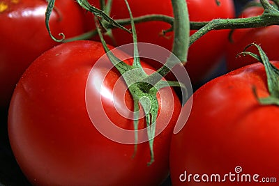 Ripe Red Tomatos Stock Photo