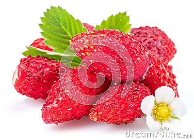 Ripe red wild strawberry with strawberries leaves isolated on white background Stock Photo