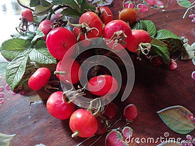 Ripe rosehips on the table to cook into jam Stock Photo