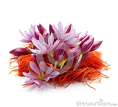 Ripe saffron flowers on a white background Stock Photo