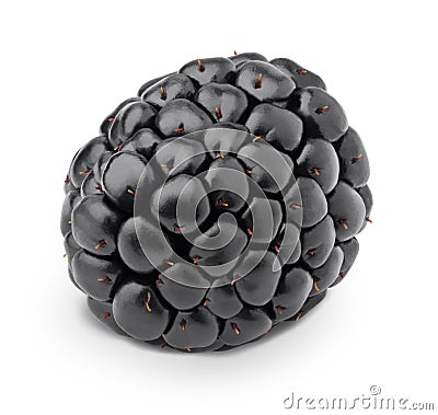 Ripe single blackberry isolated on a white. Stock Photo