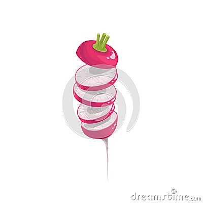 Ripe sliced radish. Flying slices. Fresh organic farm food. Salad ingredient. Cartoon style. Vector illustration Vector Illustration