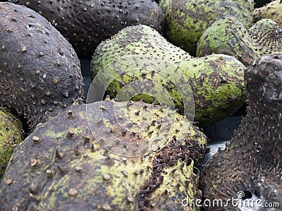 Ripe soursop is ready for sale with a slightly sour sweet taste Stock Photo