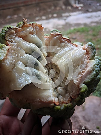 Ripe srikaya fruit is cut in half Stock Photo