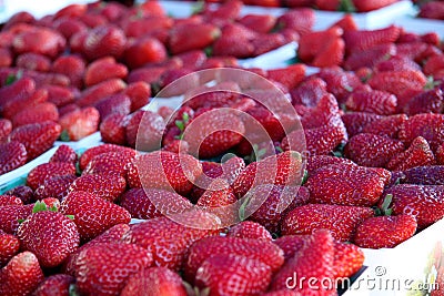 Ripe strawberries Stock Photo