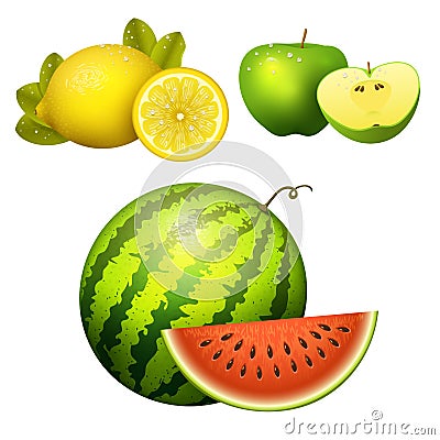 Ripe striped watermelon realistic juicy apple vector illustration slice green isolated ripe melon. Vector Illustration