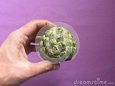 Ripe sweetsop fruit Stock Photo