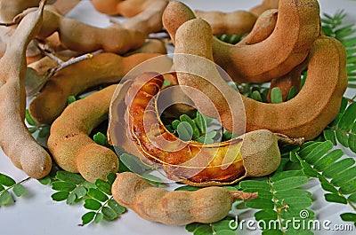 Ripe tamarind fruit with green leaves Stock Photo