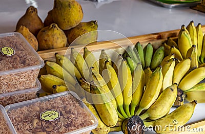 Ripe tasty bananas fruits Thai food Koh Samui in Thailand Editorial Stock Photo