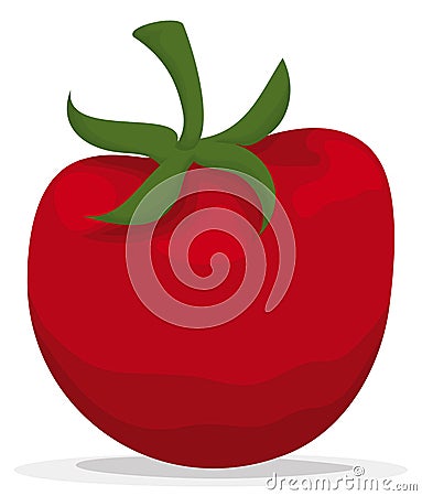 Ripe tomato with pedicel and sepal over white background, Vector illustration Vector Illustration