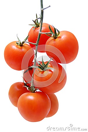 Ripe tomatoes Stock Photo