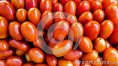 ripe tomatoes, this fruit is a staple ingredient in the world's kitchens Stock Photo